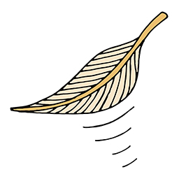 Leicht